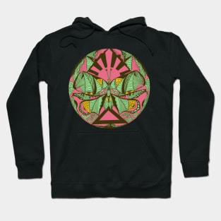 Pink Mint Sunrise Abstract Butterfly Hoodie